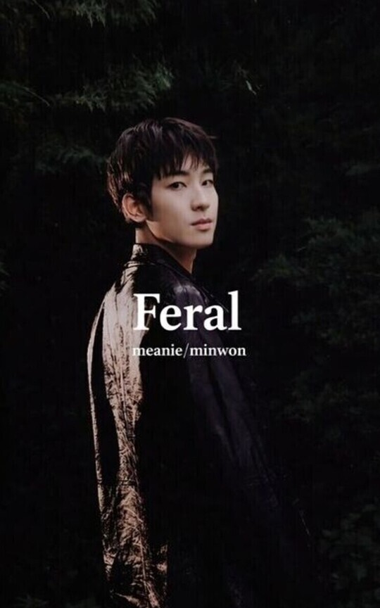 Feral - Meanie/MinWon