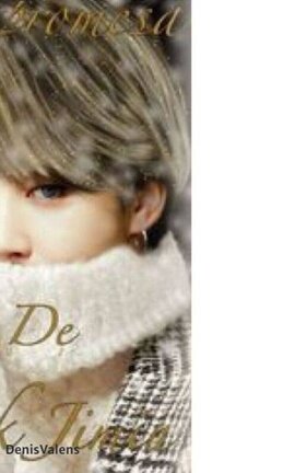LA PROMESA DE PARK JIMIN