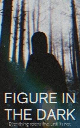 Figure in the Dark