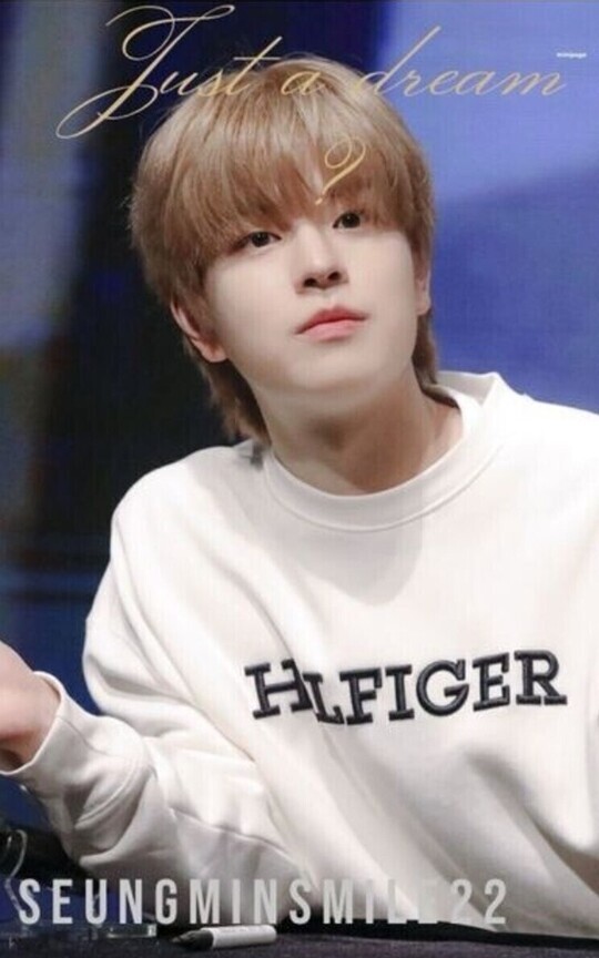 Just a dream (chanmin) Omegaverse 