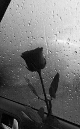 OTRA VEZ...¤°°¤°♡