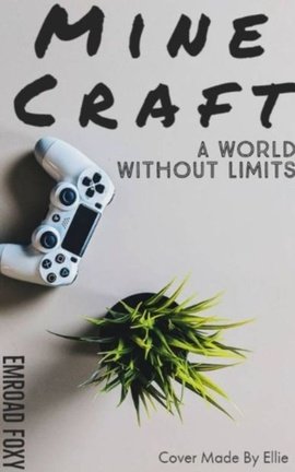 Minecraft: A World Without Limits
