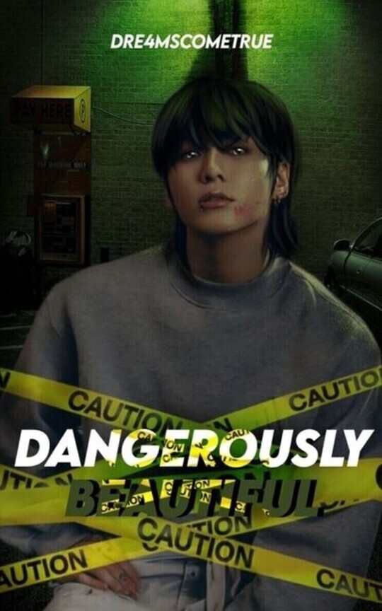 Dangerously Beautiful (KookV)