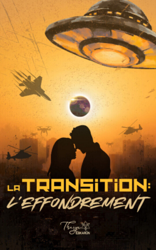 La Transition 1 : L'effondrement [EN PAUSE]