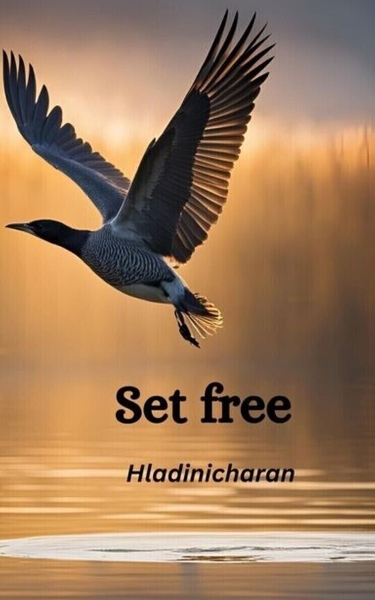 Set free