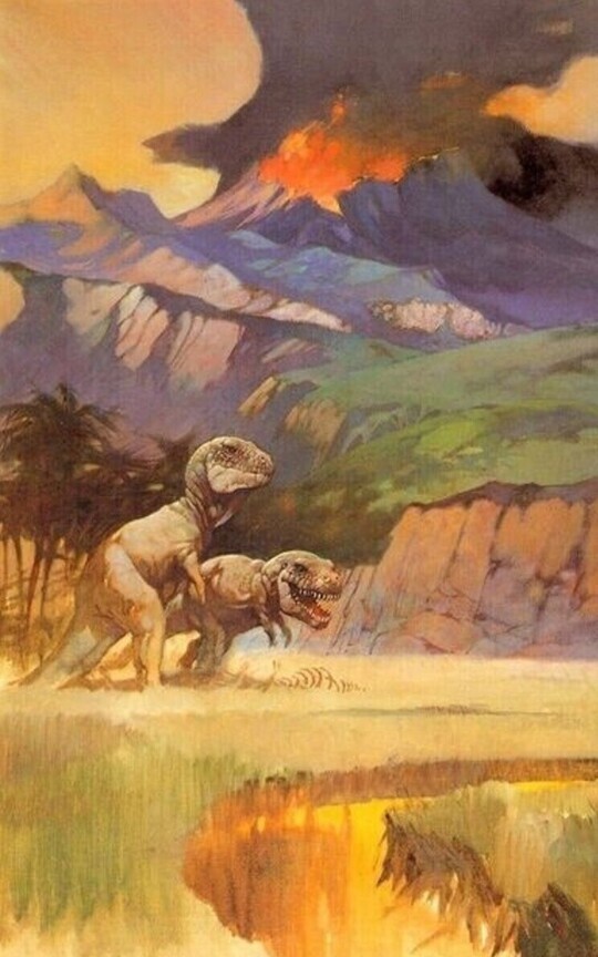 The Fields of Gorgo