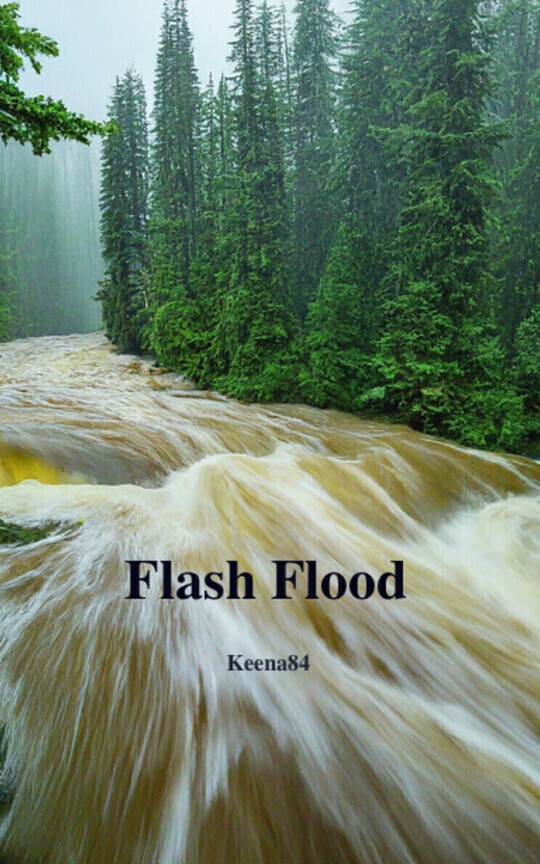Flash Flood