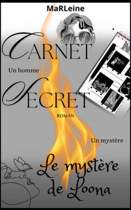 CARNET SECRET Le mystère de Loona