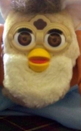 Scp 7544. Duck duck death. Keter