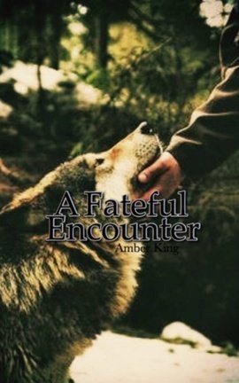 A Fateful Encounter