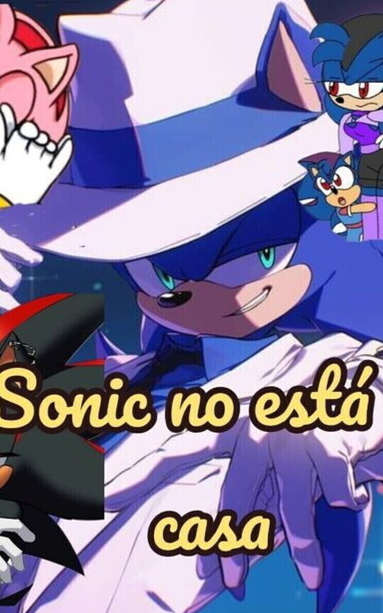 Sonic no está en casa