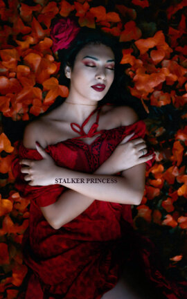 STALKER PRINCESS