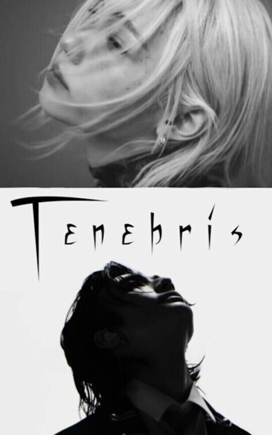 Tenebris | Hyunlix 