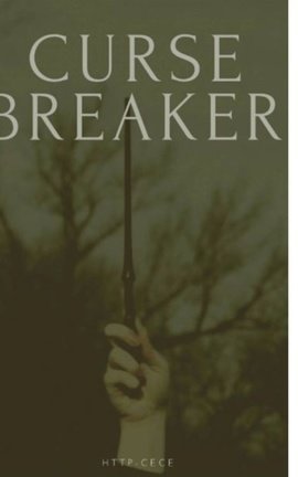 curse breaker ♢ b. weasley fanfic