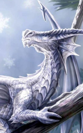 My Dragon part 1