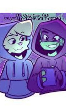 The Only One.. (AN USATELLO/DONSAGI FANFIC!)