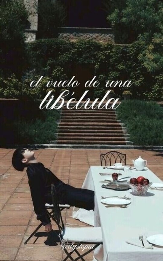 El vuelo de una libélula | Chanbaek |