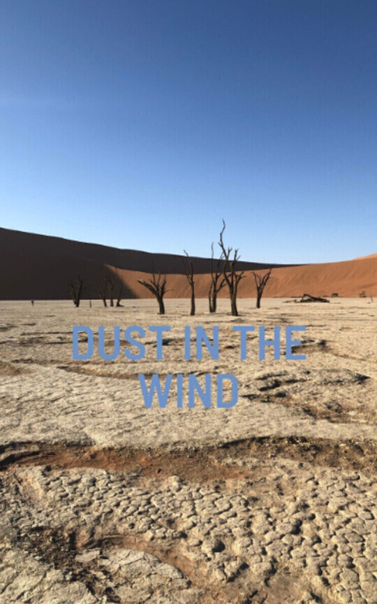 Dust in the Wind