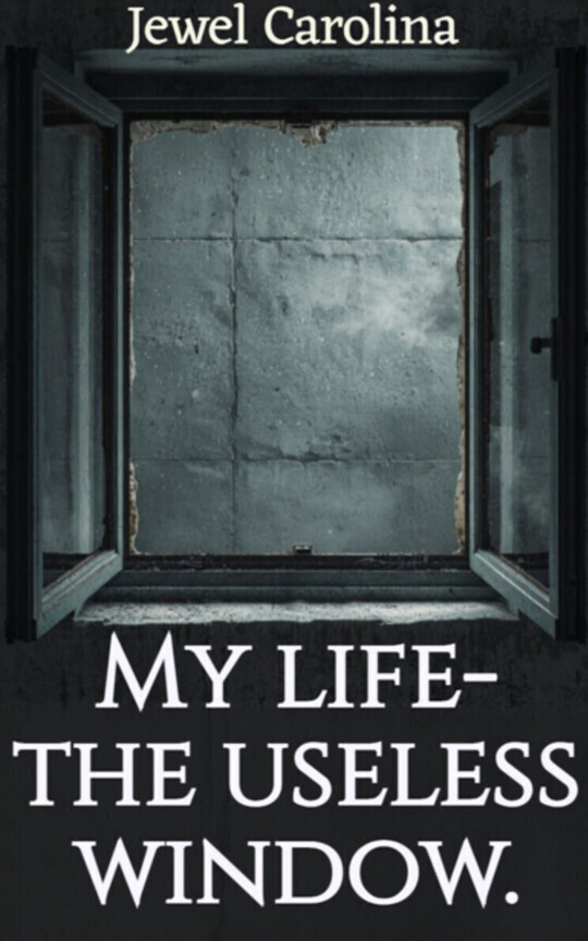My life- the useless window.