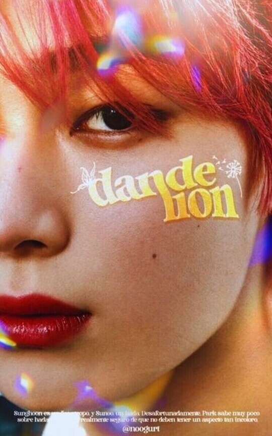 Dandelion ✶ SUNSUN