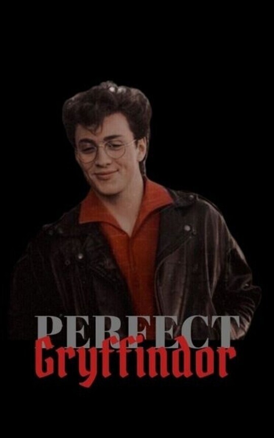 Perfect Gryffindor 