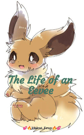 The Life of an Eevee