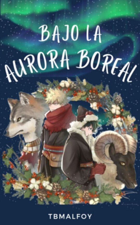 Bajo la aurora boreal