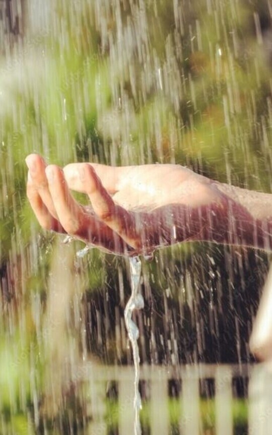 Im Sommerregen 
