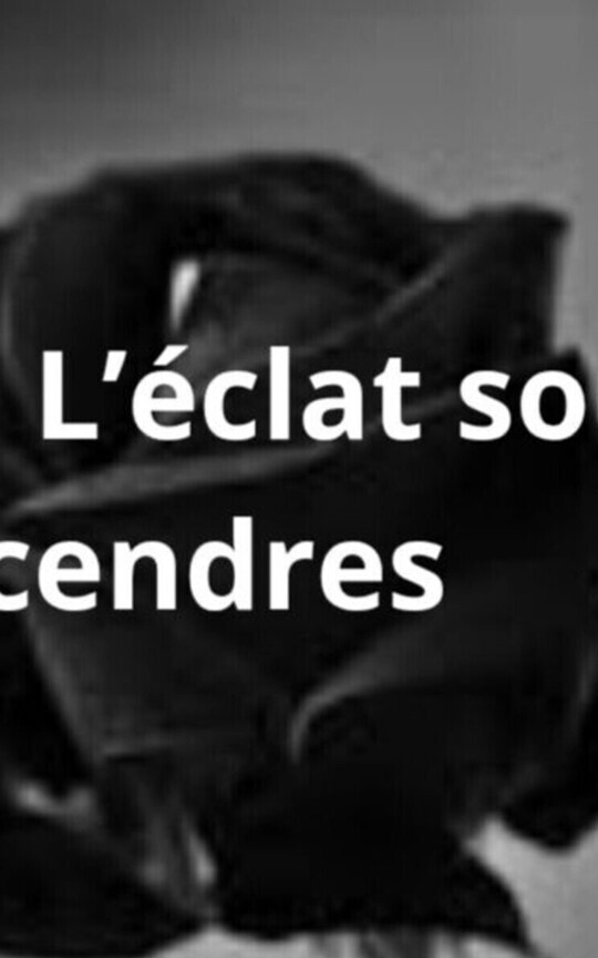 Fatima… Une fleur à l’époque colonialeRésumé :
Fa