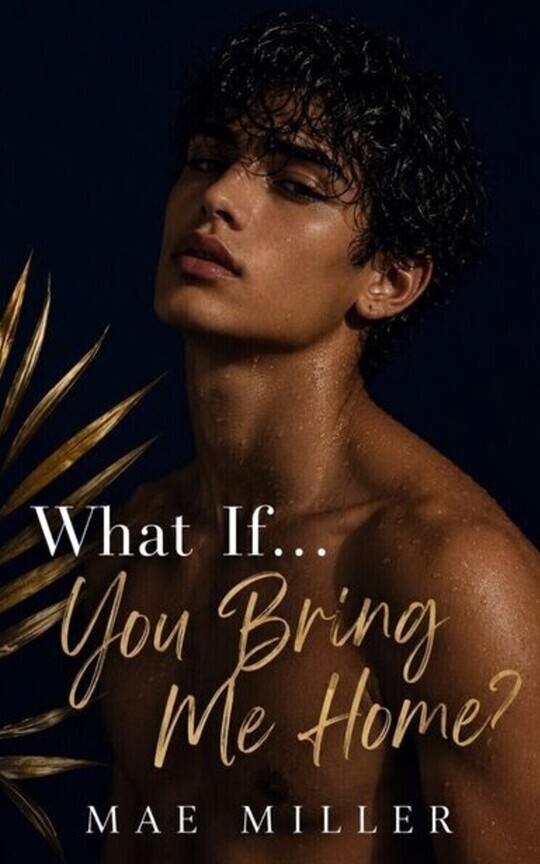 What if… You Bring me Home? What if Series Book 3 