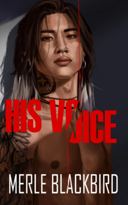 HIS VOICE (MM Popstar Romance/Suspense)