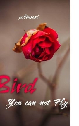 Bird You can not Fly
