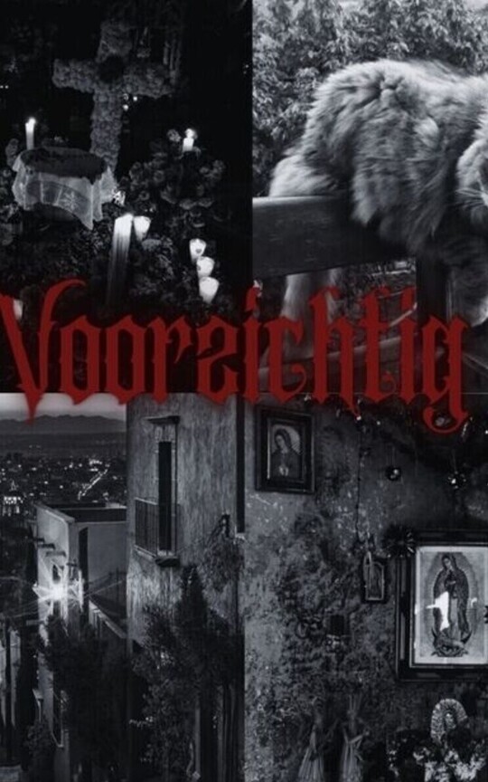 Voorsichfig