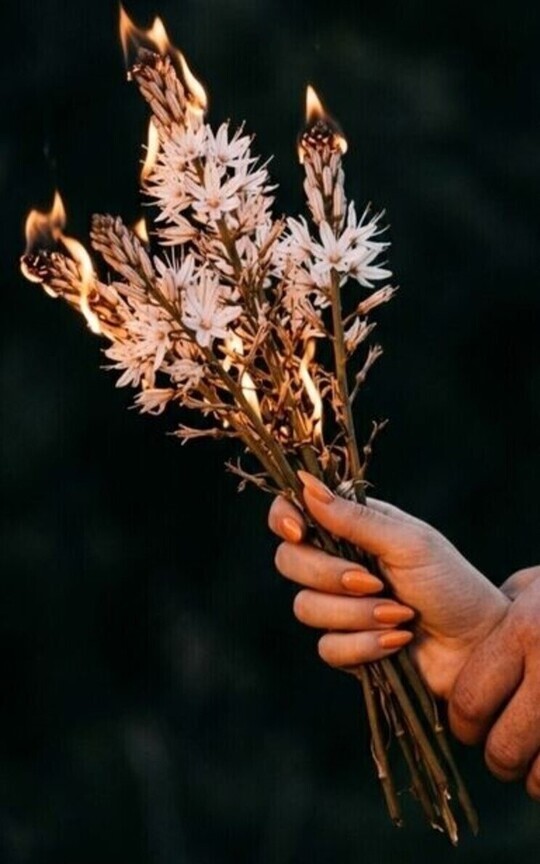 Asphodel: Between Silence and Shadows