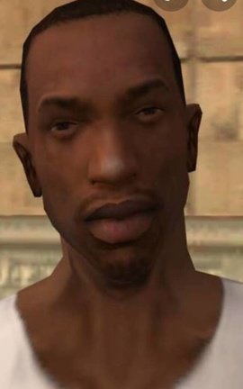 Carl Johnson stories