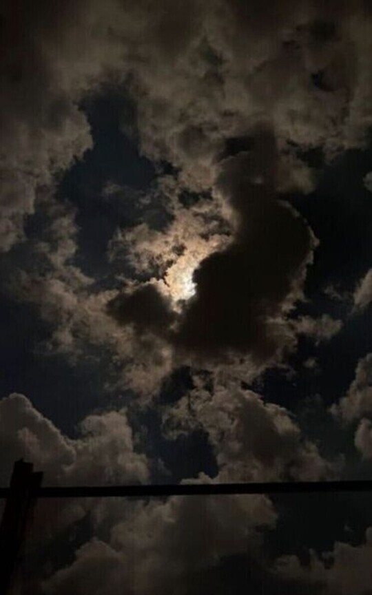 Withered Dreams