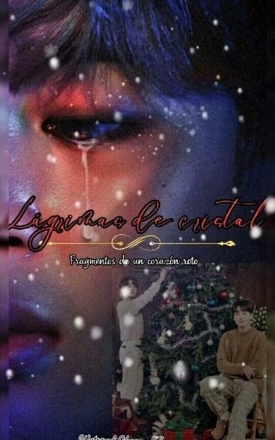 ⚜️LÁGRIMAS DE CRISTAL⚜️ Fragmentos de un 💔