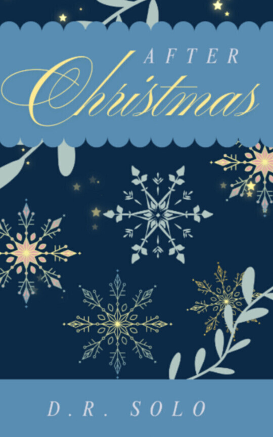 After Christmas - A Nadine and Charlie short story | Book 1.1