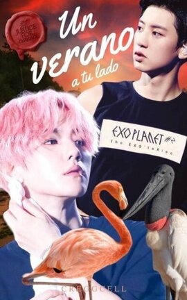 Un verano a tu lado