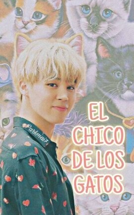 EL CHICO DE LOS GATOS — Kookmin