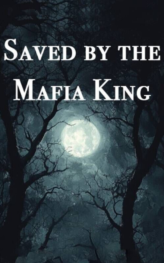 Saved by the Mafia King