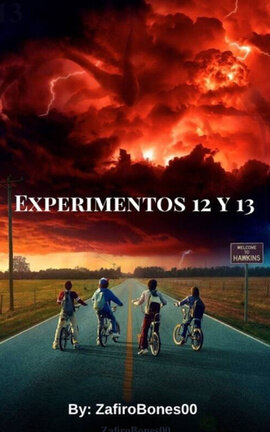 Exp. 12 y 13