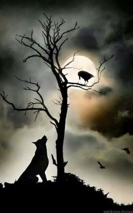 The Moon 🌙 🌚 Goddesses oversight