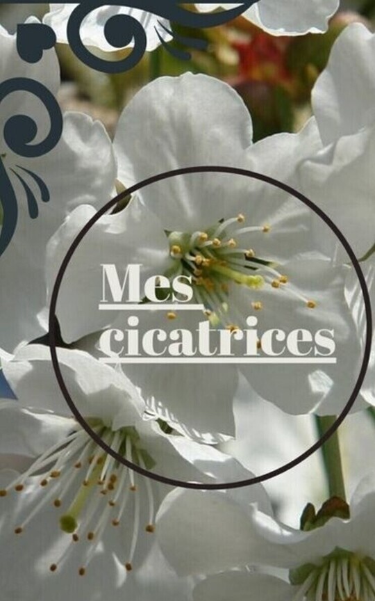 Mes cicatrices 