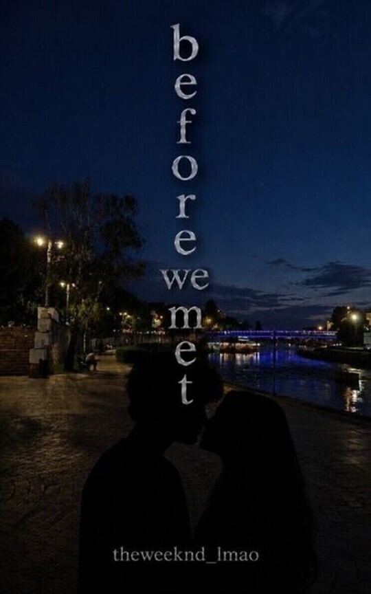 Before We Met
