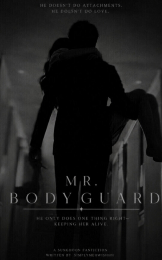 Mr Bodyguard