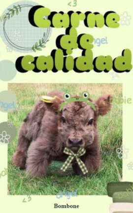 Carne de calidad