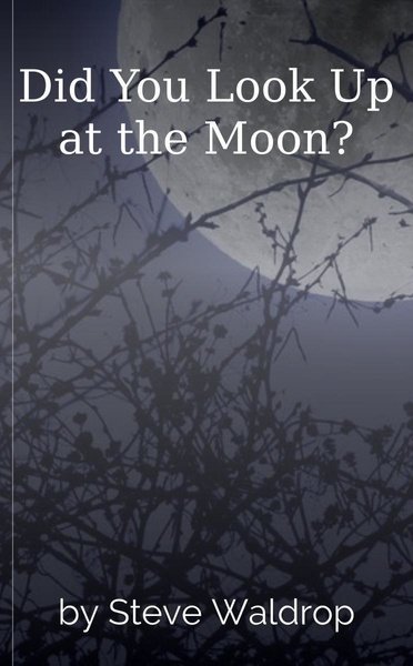 Did You Look Up at the Moon?