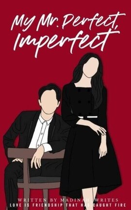 My Mr. Perfect, Imperfect