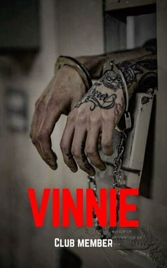 WAR & MAYHEM: Vinnie (Book 10)